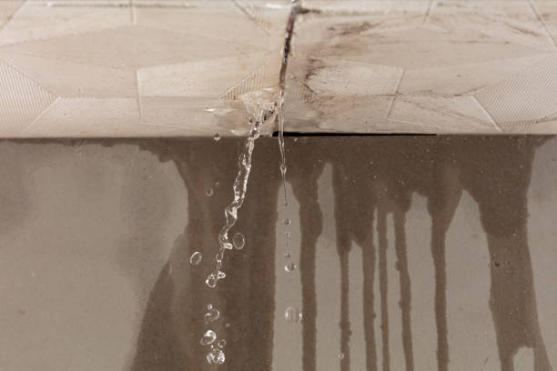 Professional Water Damage Repair technician working in Randolph, AL
